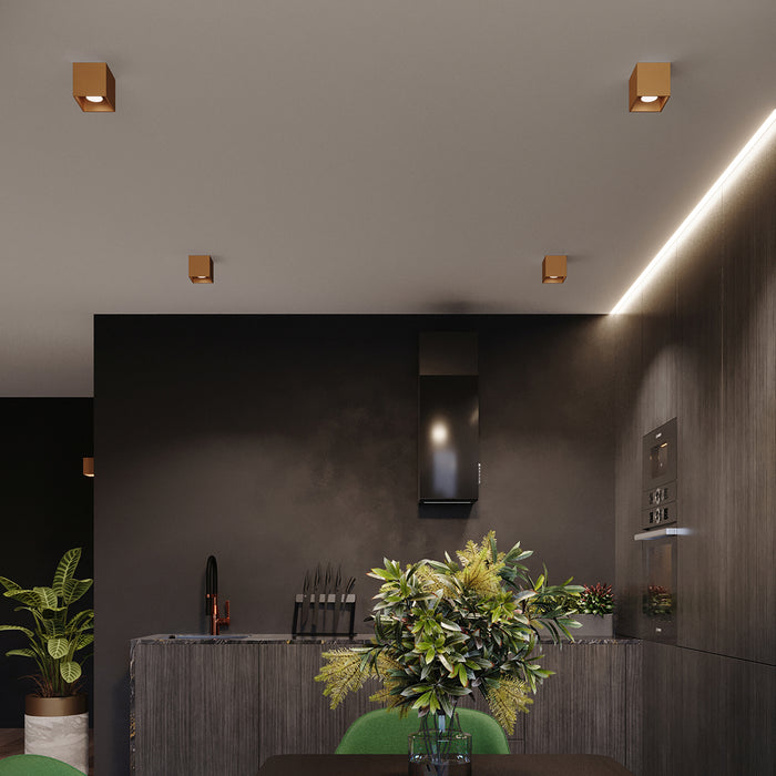 SOLLUX Sl.1183 QUAD Lámpara de Pared G9 Dorado