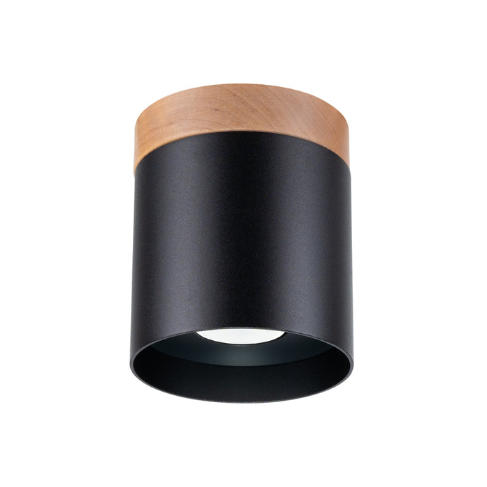 SOLLUX SL.1349 RIF Lámpara de Techo Negro
