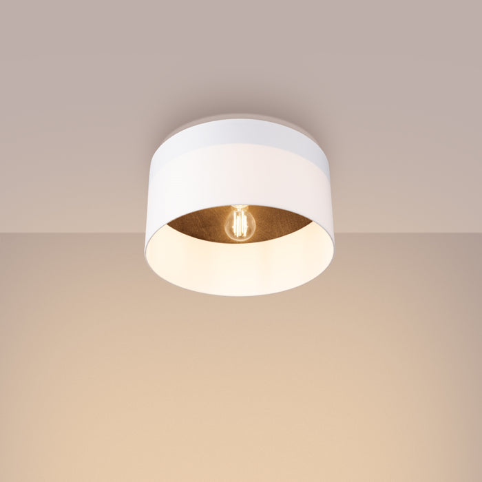SOLLUX SL.1392 TELESTO Lámpara de Techo Blanco/Marrón Oscuro