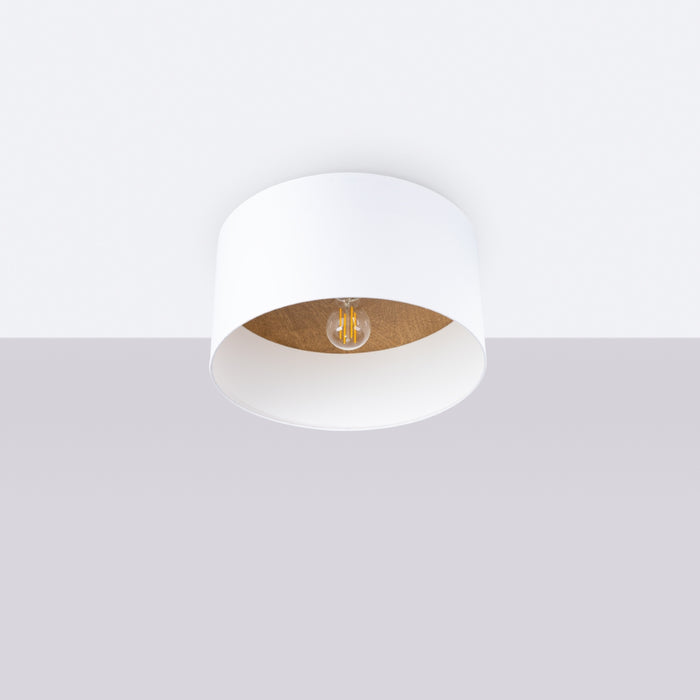 SOLLUX SL.1393 TELESTO Lámpara de Techo Blanco/Marrón Claro