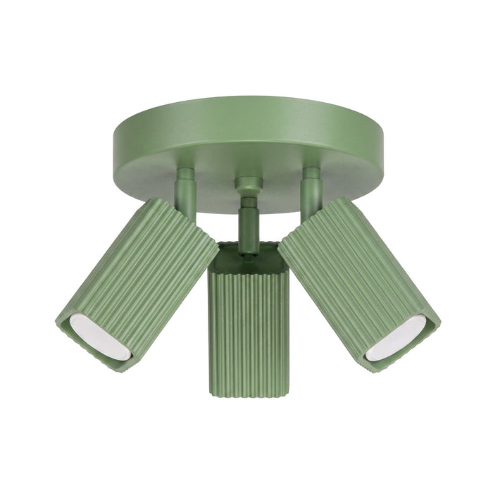 SOLLUX SL.3306 Lámpara De Techo Rayo 3P Verde Salvia