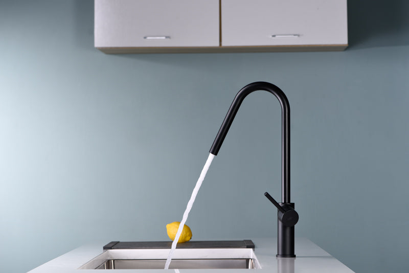 IMEX GCE020/NG KENIA Grifo de Cocina Negro Mate