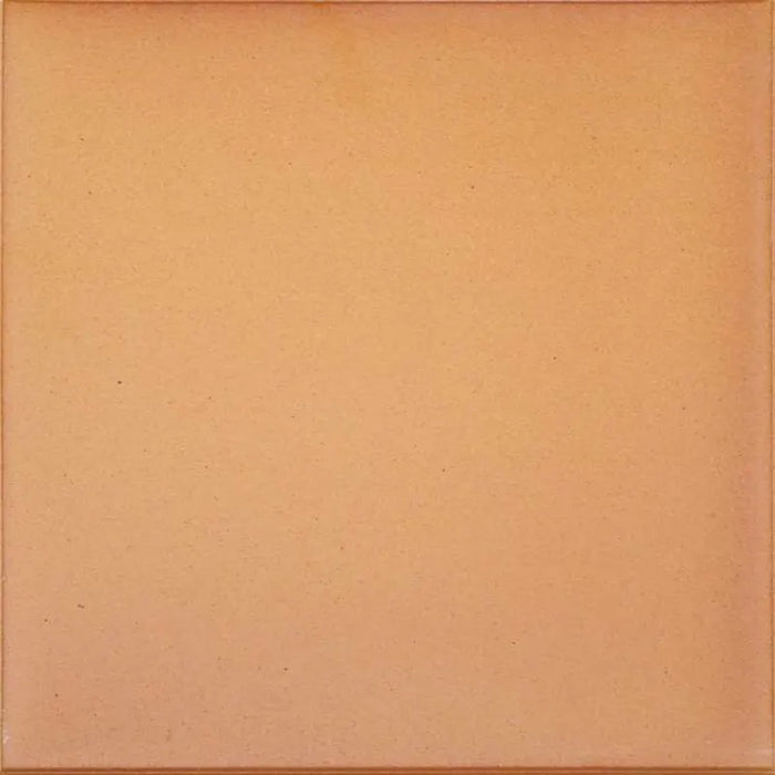 GRES DE ARAGON 900005 Base Natural Extrusionado 25x25
