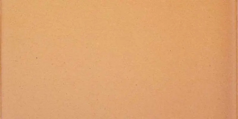 GRES DE ARAGON 900013 NATURAL Base 12,5x25 Gres Extrusionado