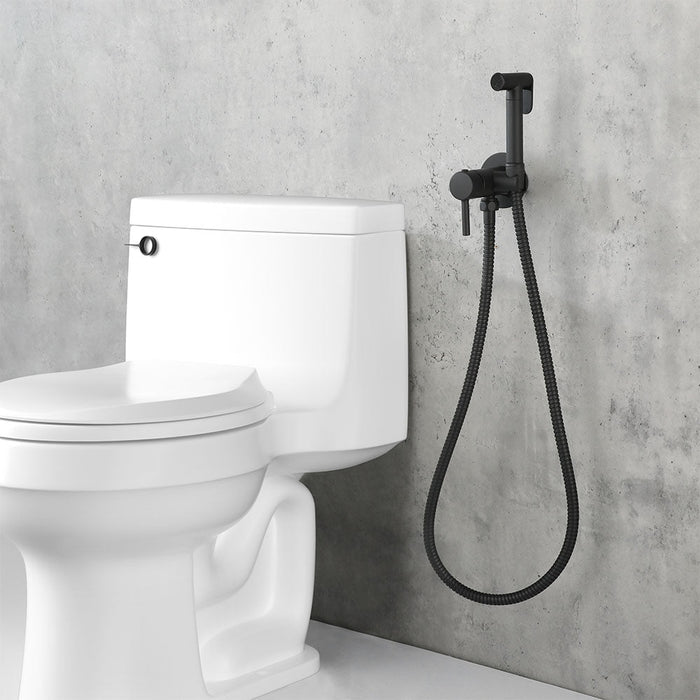 LLAVISAN L156474 Grifo Monomando WC Duchita Agua Fría Caliente Negro Mate
