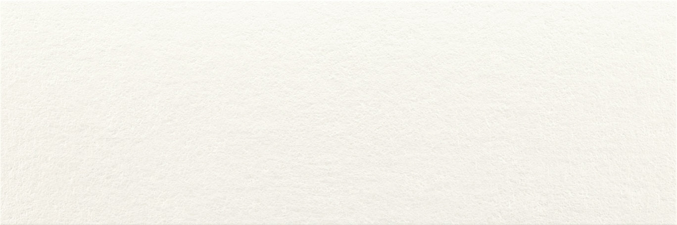 BALDOCER OZONE SNOW 30x90 Revestimiento Pasta Blanca