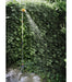 ARCOBAÑ 15DUJA  Ducha Jardín Regulable