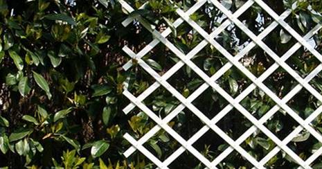 BONERVA MAL0432 Celosia de Plástico Extensible 1x2m Blanco