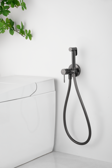 IMEX RDG053/BGM GÉNOVA Grifo Monomando WC Empotrado de Bidé Black Gun Metal