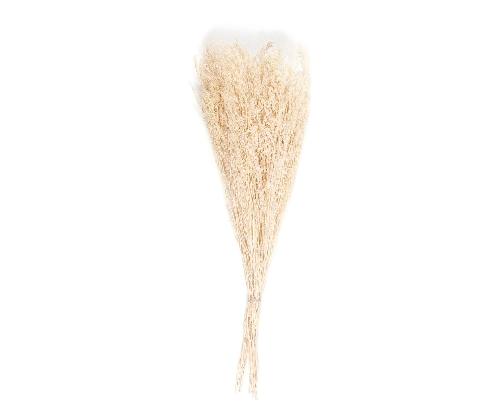 ANDREA HOUSE AX21026 Ramo Flor Seca Natural Statice 100 Gr.