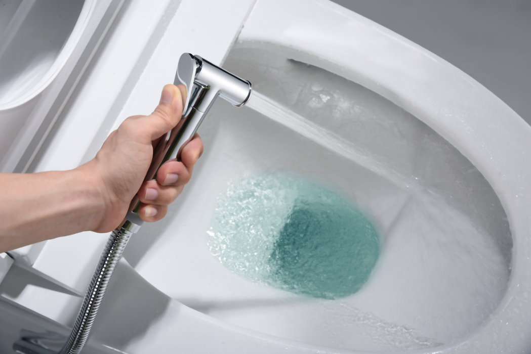 IMEX RDG053 GÉNOVA Grifo Monomando WC Empotrado de Bidé Cromo