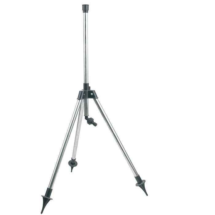 BONERVA J250205 TODOGOMA